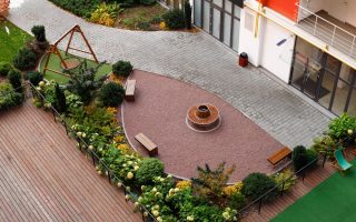 créer un couvre-sol efficace pour votre jardin