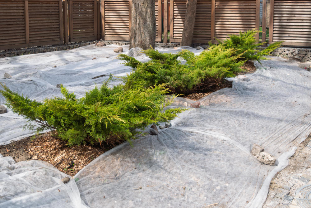 un couvre-sol efficace pour votre jardin